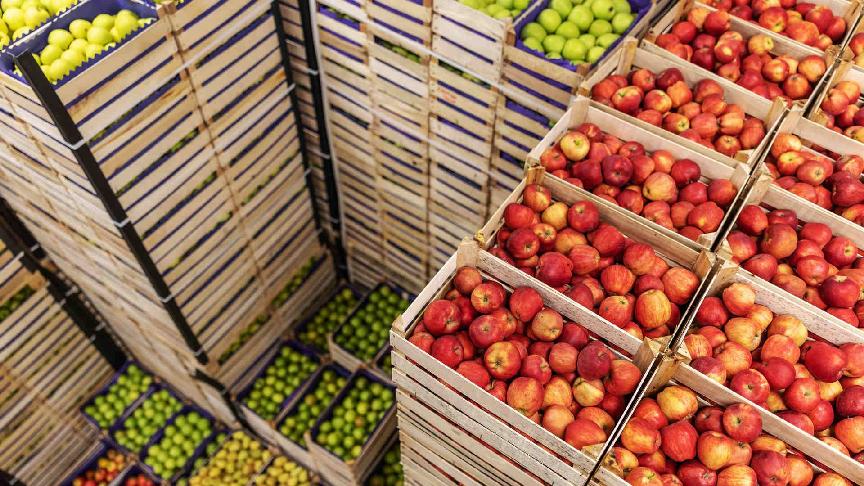 India limits apple imports