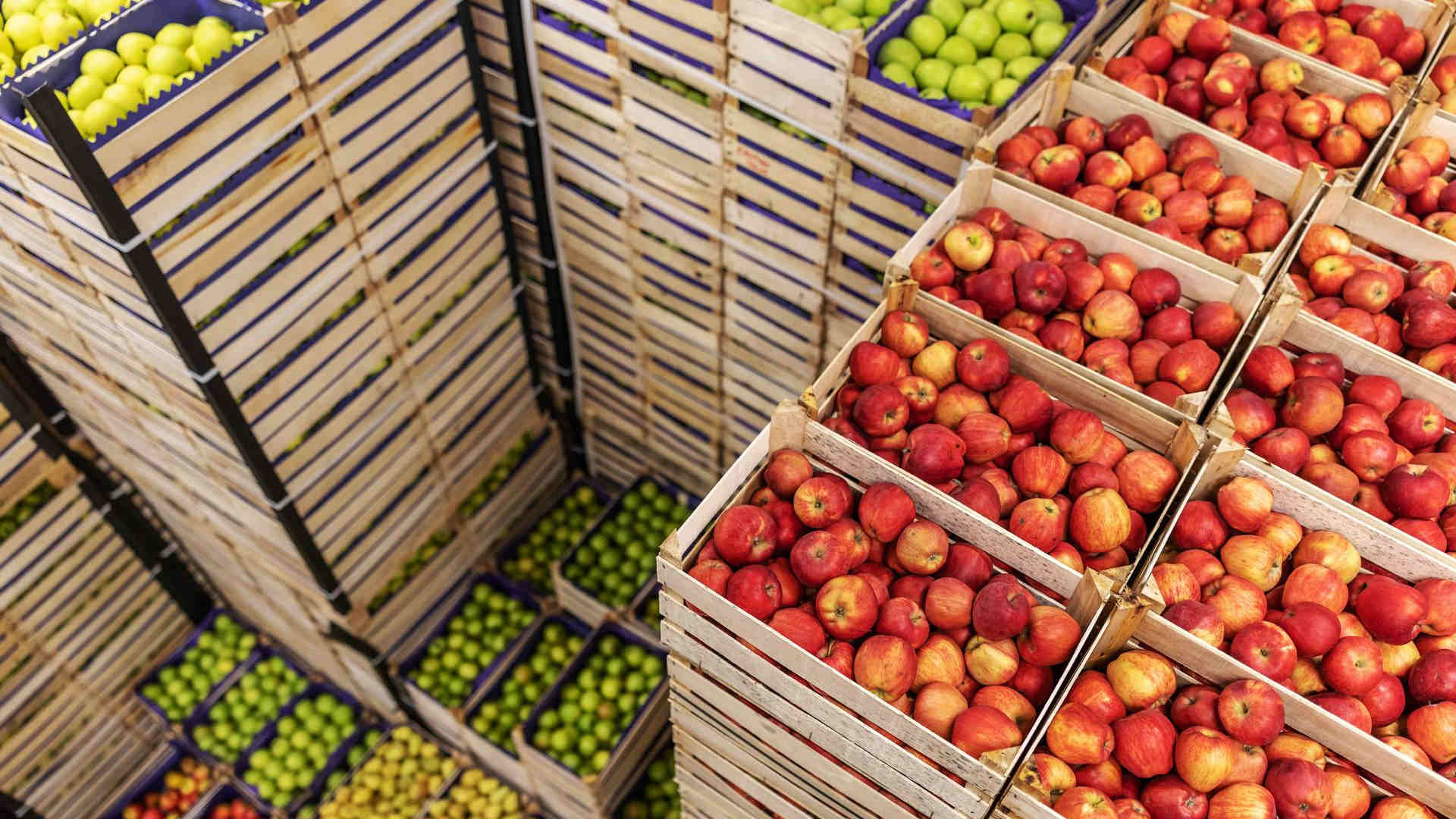 India limits apple imports