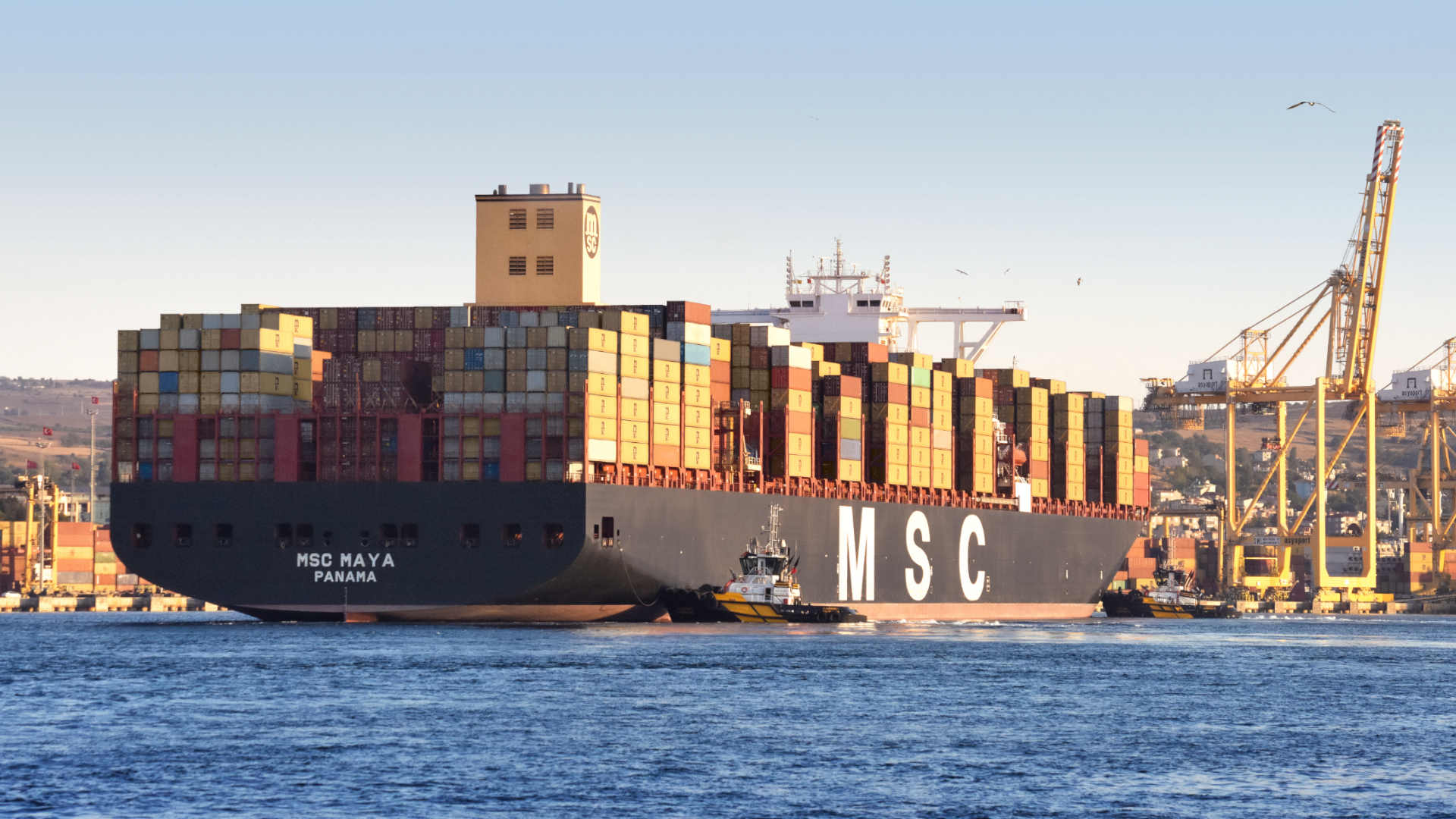 MSC snaps up feedermaxes and sells eighth boxship for recycling