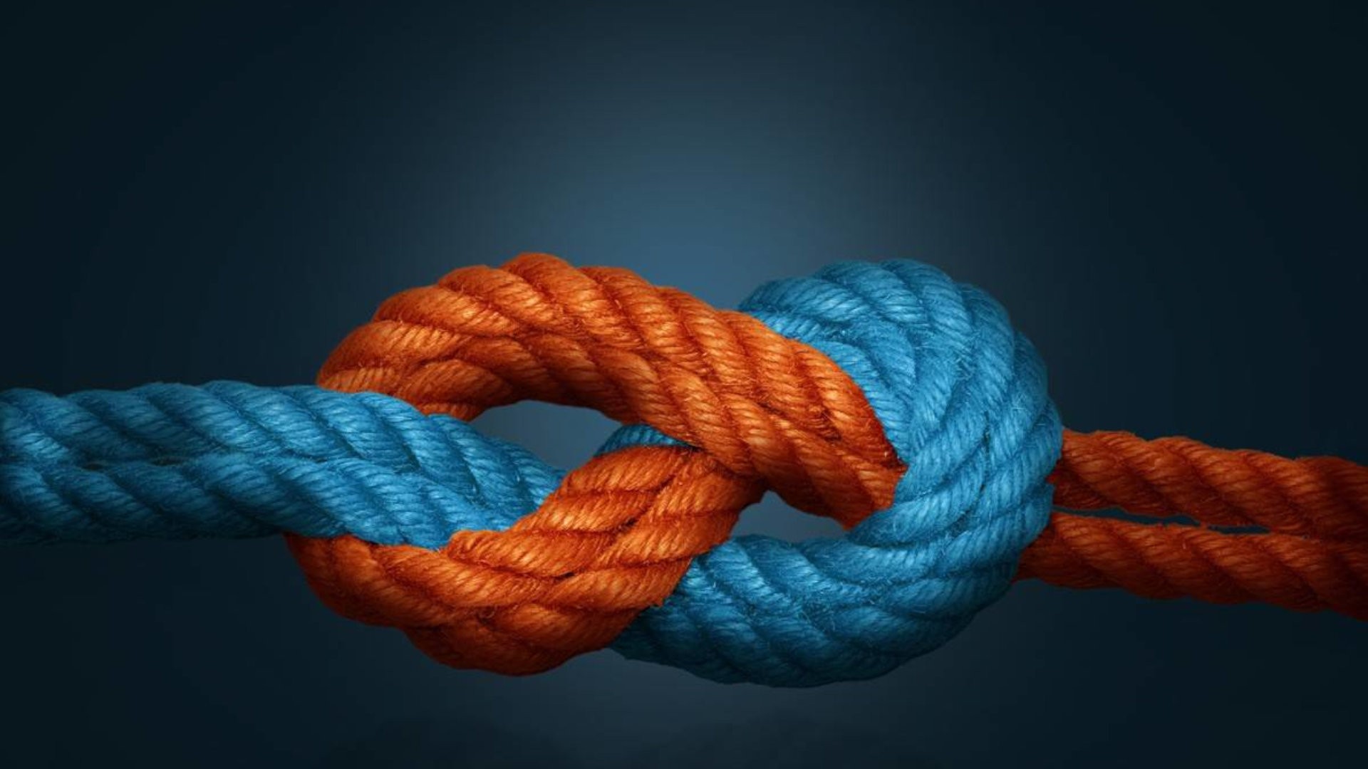 Gemini Cooperation marks first year amid strong gains and emerging industry pressures