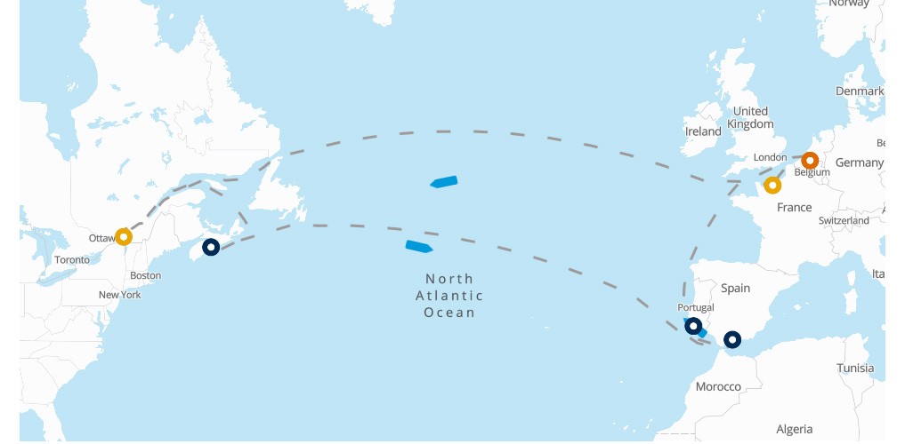 Carrier Service Update (7 - 19 August 2025)