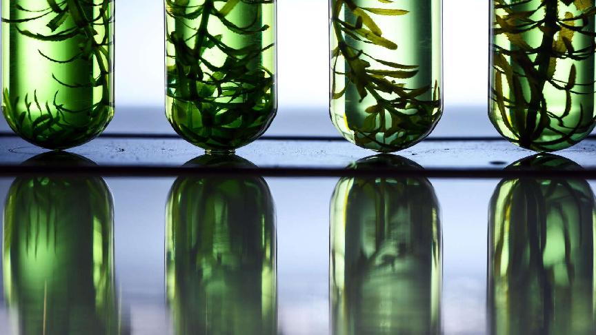 Containership charterer Seaspan to add green fuels to its portfolio 