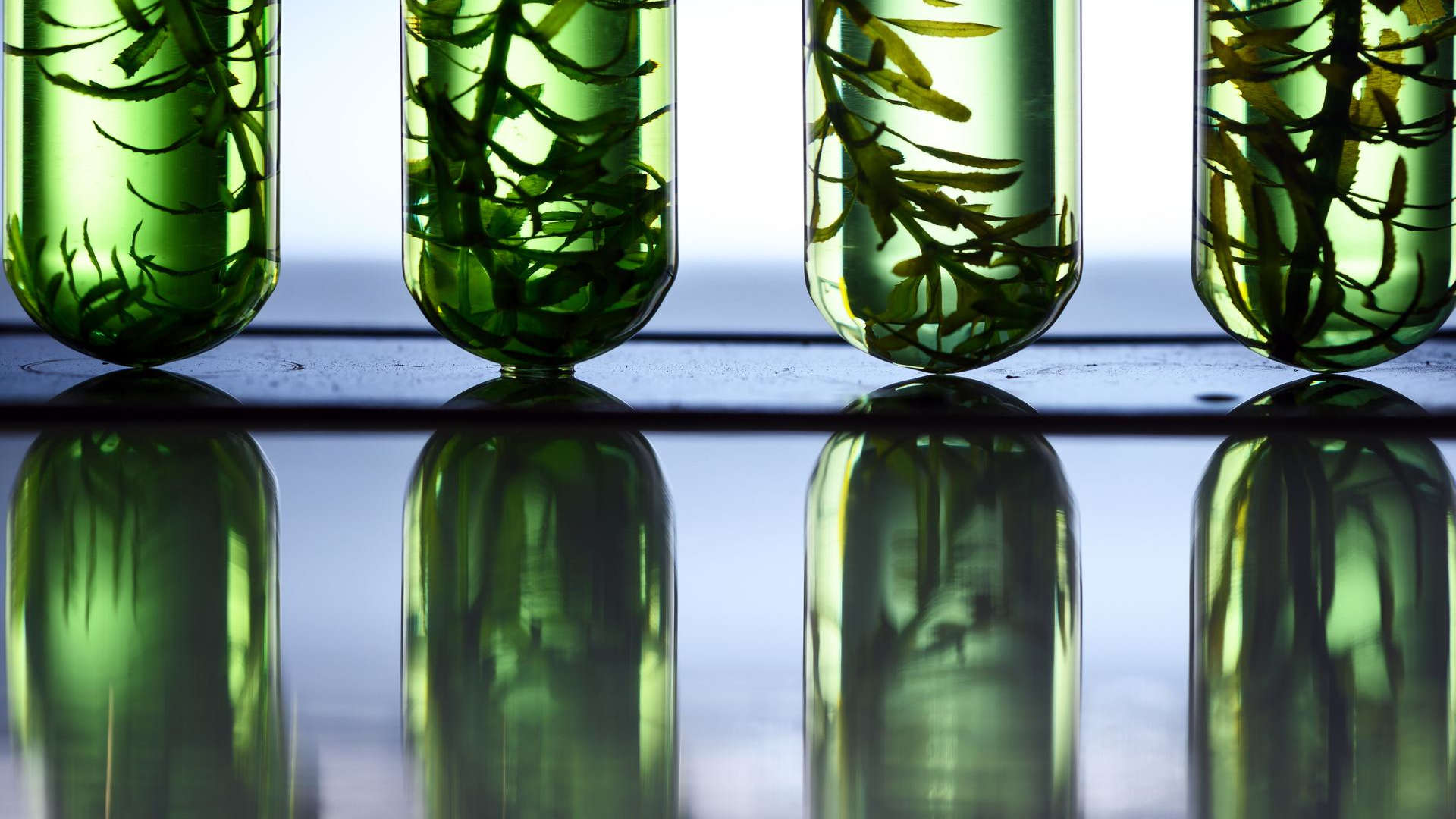 Containership charterer Seaspan to add green fuels to its portfolio