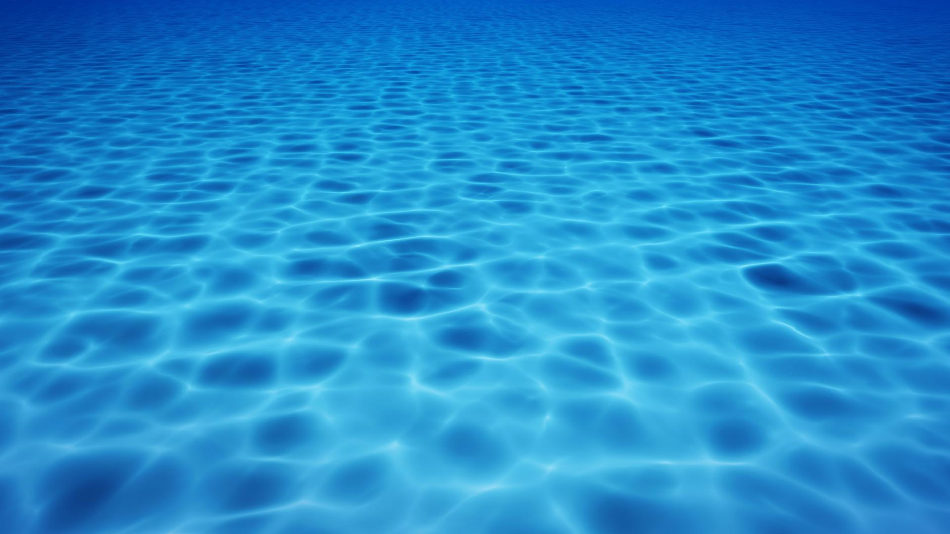 Revised guidelines on underwater noise to take effect next week