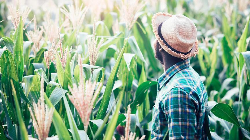 Africa’s trade boom reshapes global shipping dynamics