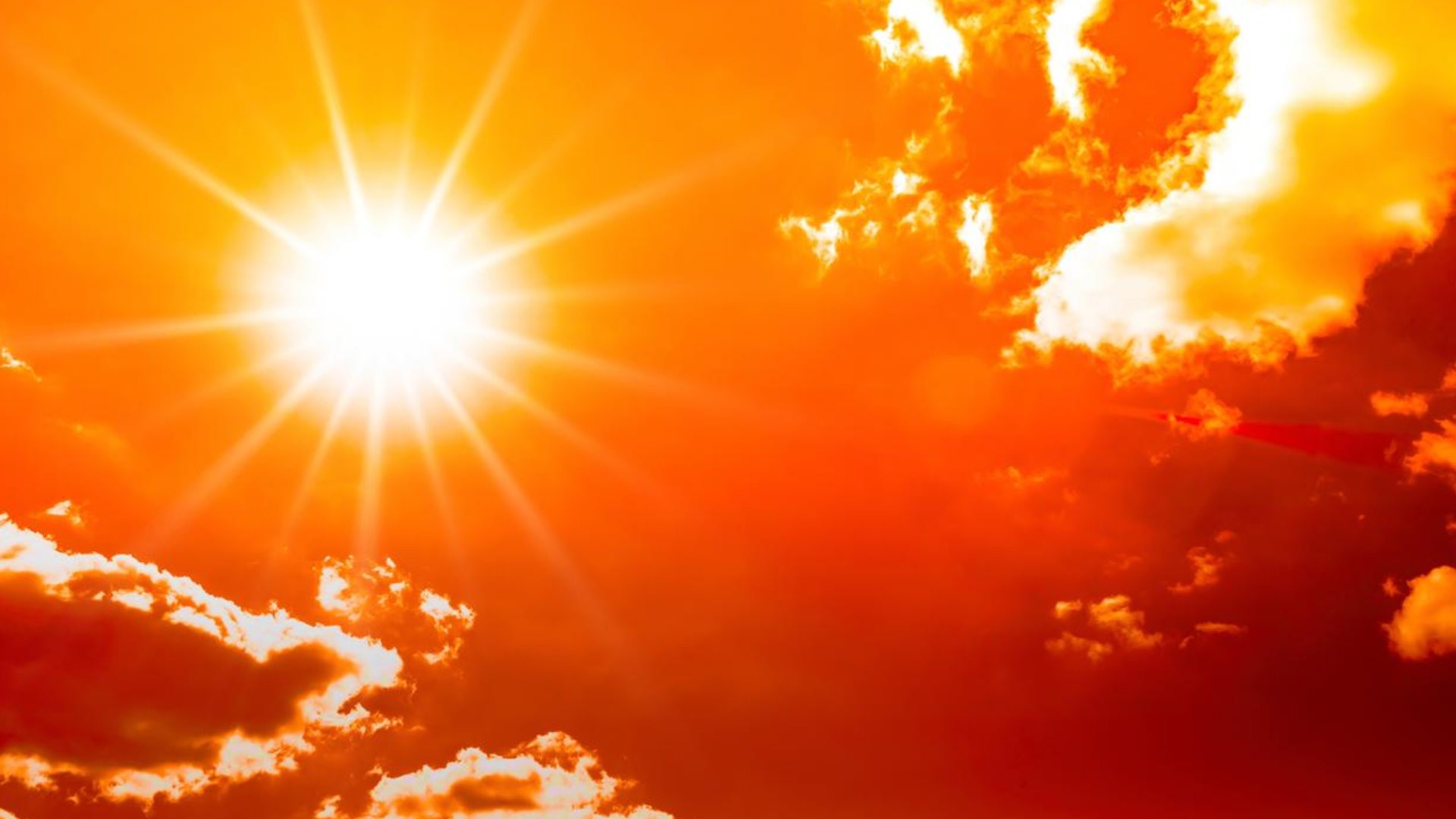 Extreme heat forces operational restrictions across Rotterdam terminals