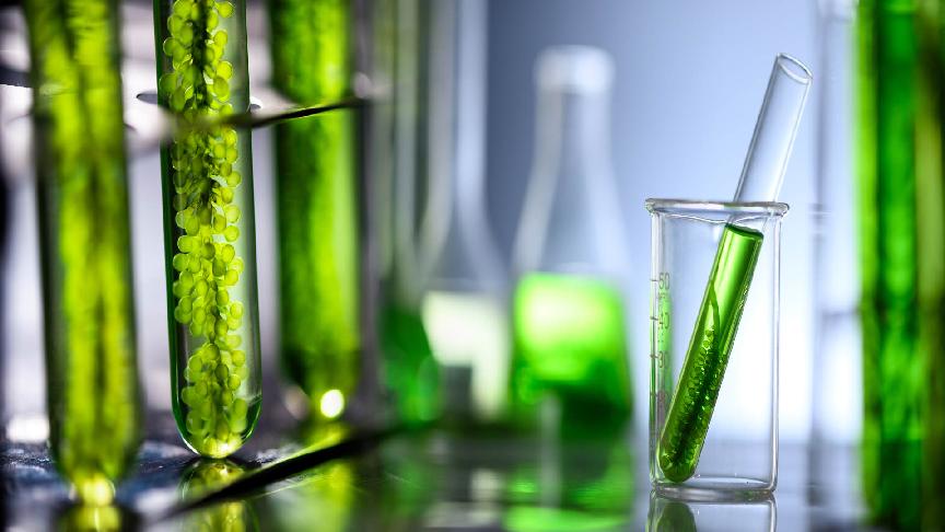 Green ammonia needs $200 carbon tax to be competitive