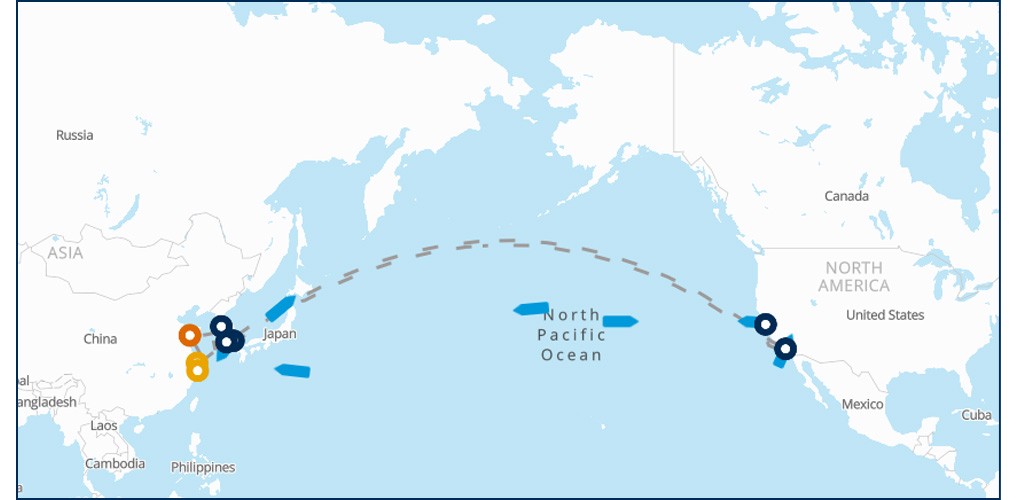 Carrier service update (1 - 14 October 2025)
