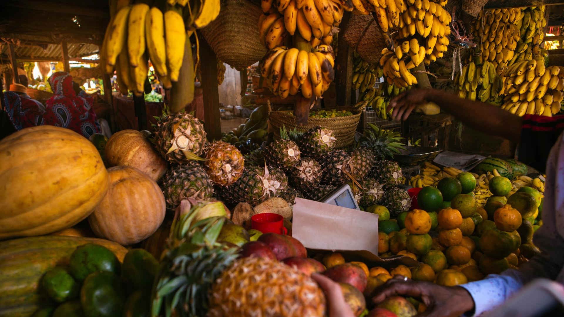 Middle East disruption forces South African exporters to redirect cargo and rethink transport routes