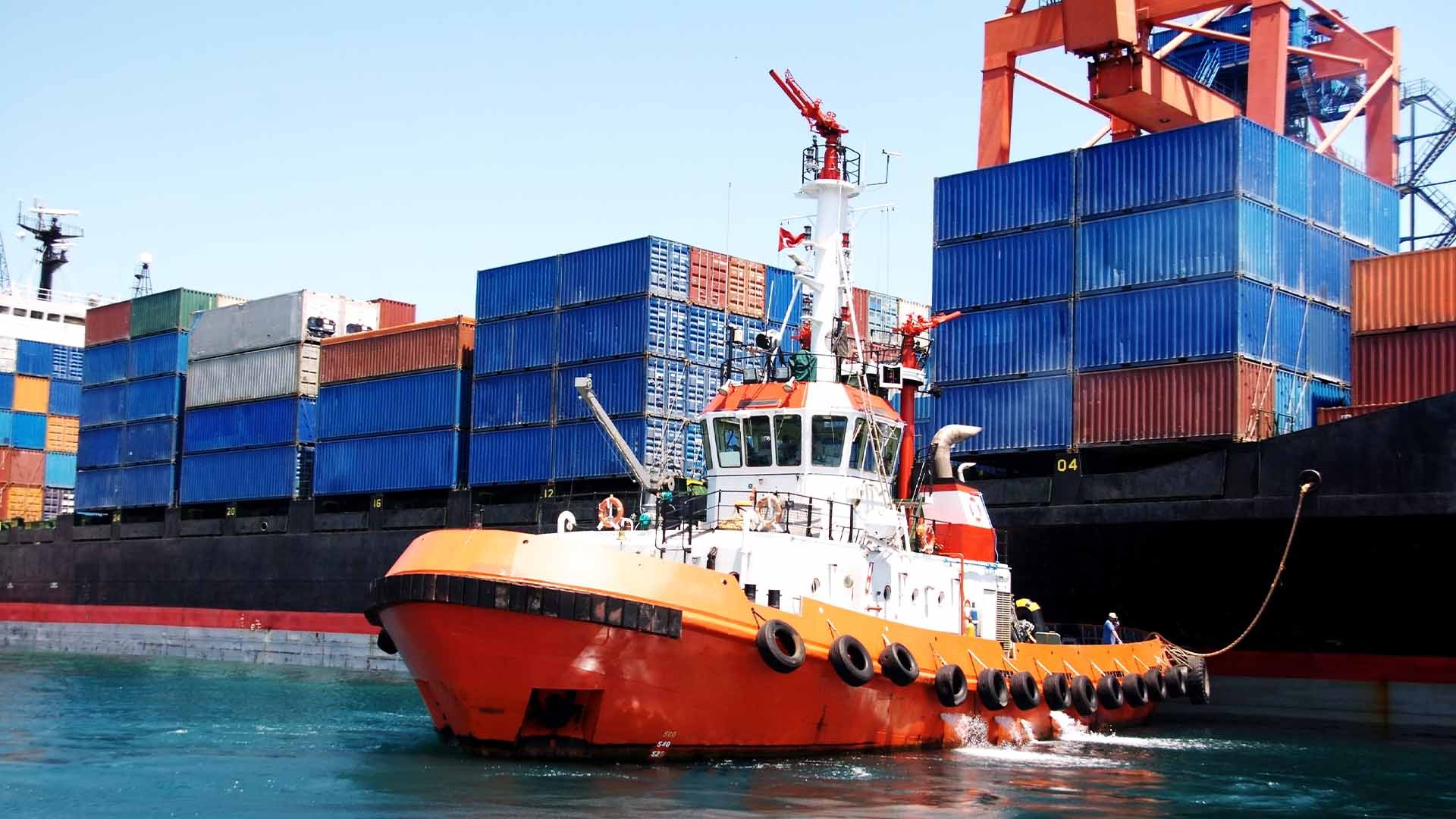 Fatal collision halts operations at Livorno’s Darsena Terminal, Italy