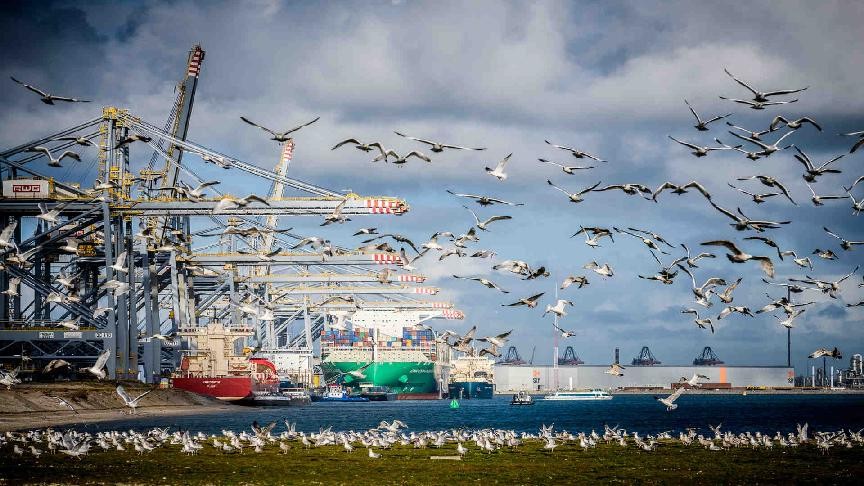 Rotterdam Maasvlakte II rail capacity reduced during extended terminal works