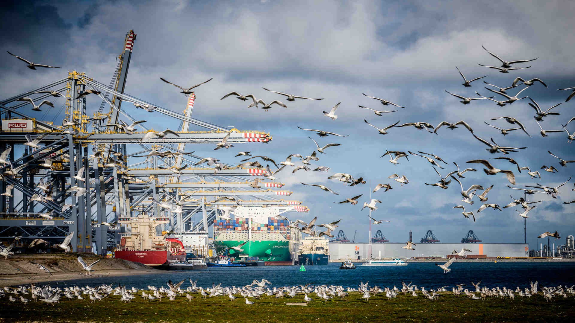 Rotterdam Maasvlakte II rail capacity reduced during extended terminal works