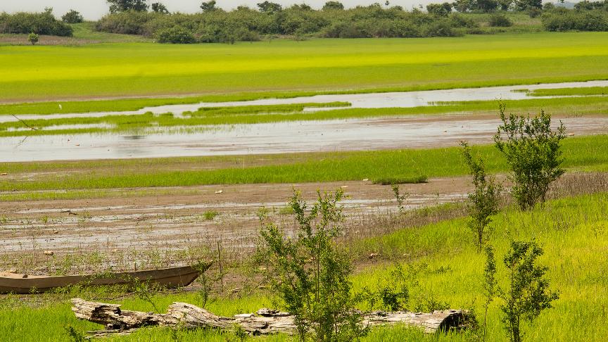 Water levels in the Amazon River continue to drop, prompting cargo transport restrictions